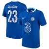 Nike Chelsea Cup Home Stadium Shirt 2022-23 - Kids With Gallagher 23 Printing -Nike Store chelsea cup home stadium shirt 2022 23 kids with gallagher 23 printing ss4 p 13350954u 1g8e2x21mx44vkqrty2dv 02909d4b90904935bf930a6b53e62b78