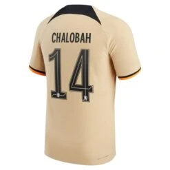 Nike Chelsea Cup Third Vapor Match Shirt 2022-23 With Chalobah 14 Printing -Nike Store chelsea cup third vapor match shirt 2022 23 with chalobah 14 printing ss4 p 13321759pv 2u 1fxultu0sswruy2ox9s3v 6a3e1df114bc4f1ab8e890ed3e29c71c