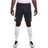 Chelsea Nike Strike Shorts - Navy