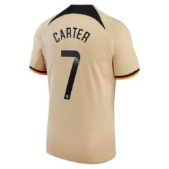Nike Chelsea WSL Third Stadium Shirt 2022-23 - Kids With Carter 7 Printing -Nike Store chelsea wsl third stadium shirt 2022 23 kids with carter 7 printing ss4 p 13356388pv 2u j5b1nk0l32w7l76e41jv 381c217fe4fa46e9a0cd9251f88bc971