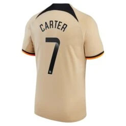 Nike Chelsea WSL Third Stadium Shirt 2022-23 With Carter 7 Printing -Nike Store chelsea wsl third stadium shirt 2022 23 with carter 7 printing ss4 p 13356351pv 2u jnaffje6hadcw60fonaqv 8707869197e241cc85565c3144cb7a05